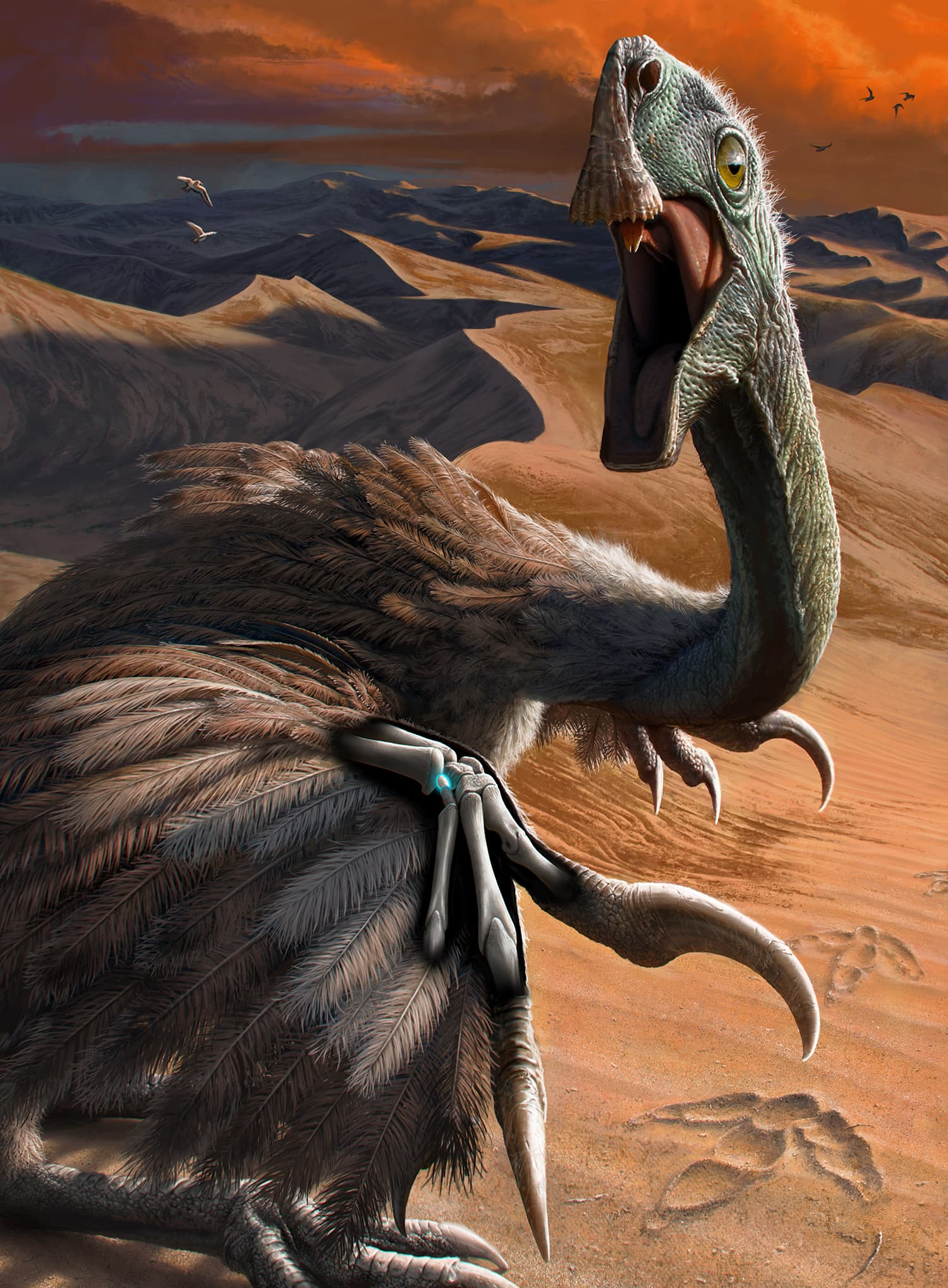 Image for Crucial Avian Wrist Bone Found in Theropods Millions of Years Earlier Than Anticipated