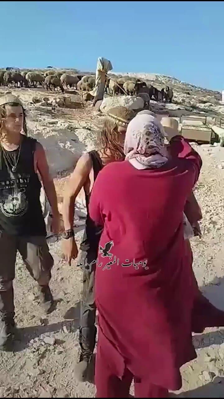 Image for Palestinian Women Confront Settlers Amid Escalating West Bank Land Disputes and Record Settlement Expansion