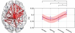 Human Brain Connectivity Shows 20% Seasonal Fluctuation, Peaking in Autumn and Lowest in Summer