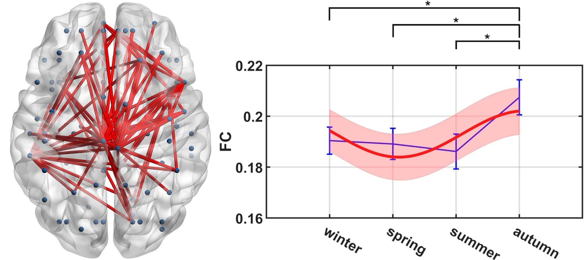 Image for Human Brain Connectivity Shows 20% Seasonal Fluctuation, Peaking in Autumn and Lowest in Summer
