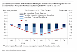 Tariffs Primarily Burden Domestic Consumers, Dampen Growth, and Weaken Currency, Economist Warns