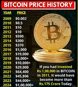 Bitcoin's Remarkable Decade: From $258 to Over $116,000, Highlighting Volatility and Growth