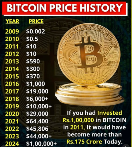 Image for Bitcoin's Remarkable Decade: From $258 to Over $116,000, Highlighting Volatility and Growth
