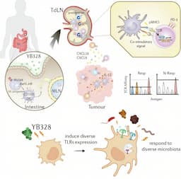 Japanese Study Reveals Gut Microbe YB328 Boosts PD-1 Therapy Response, Addressing 80% Non-Response Rate