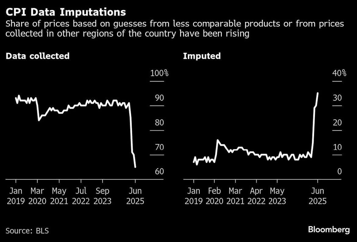 Image for Financial Commentator Alleges 40% of Government CPI Data Now "Altered"
