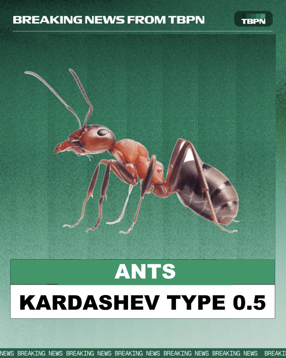 Image for Ants Reach "Kardashev Type 0.5" in Satirical Tweet from Engineering Physicist Andrew Côté