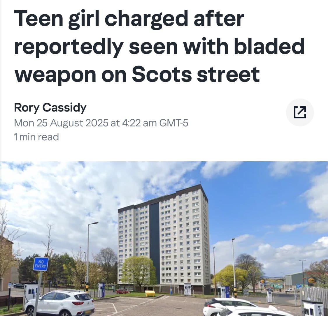 Image for UK Legal System Under Scrutiny Following Arrests in Self-Defense Cases