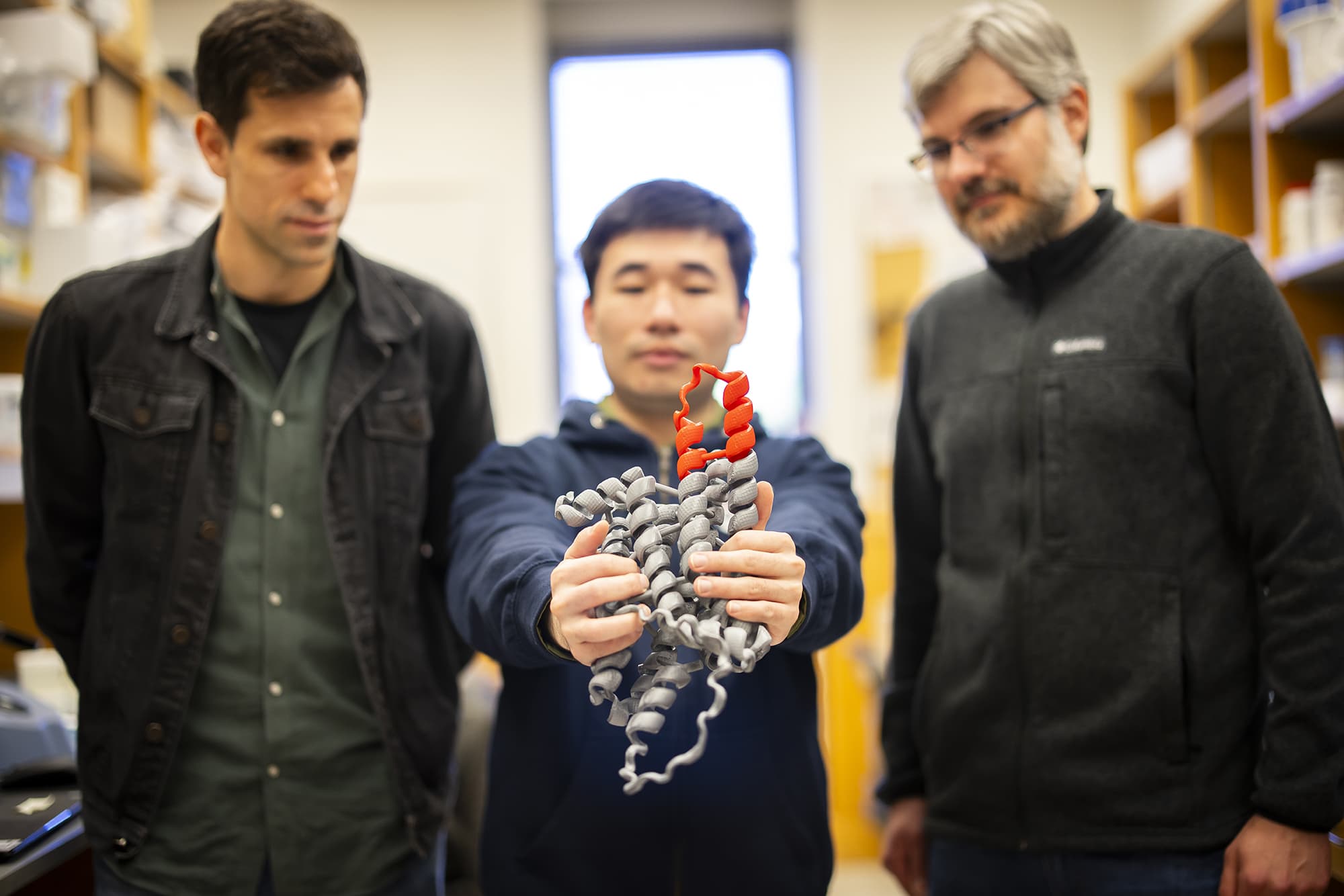 Image for University of Pennsylvania AI System Finds 53 Effective Antibiotics from Venom Peptides