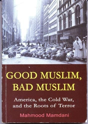 Image for Mamdani's "Bifurcated State" Theory Sparks Renewed Academic Debate