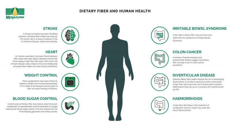Image for 53% of Consumers Plan to Increase Fiber Intake Amidst Growing Concerns from Doctors on Processed Fiber-Enriched Foods