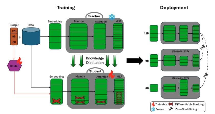 Image for Nemotron Elastic Slashes LLM Training Costs by 360x for Efficient Reasoning Models
