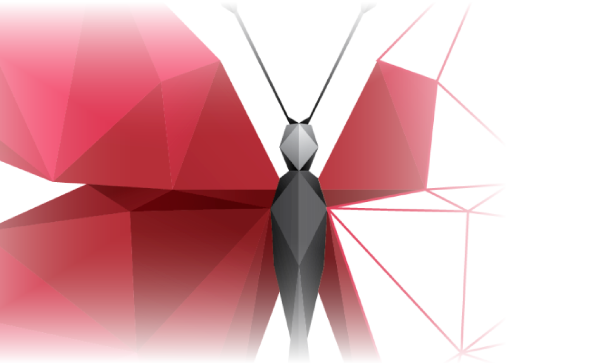 Image for Alexander Rausch (RedMimicry): 10 Key Things You Must Know