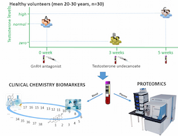 Clinical Chemistry Study Reevaluates Low Total Testosterone Thresholds