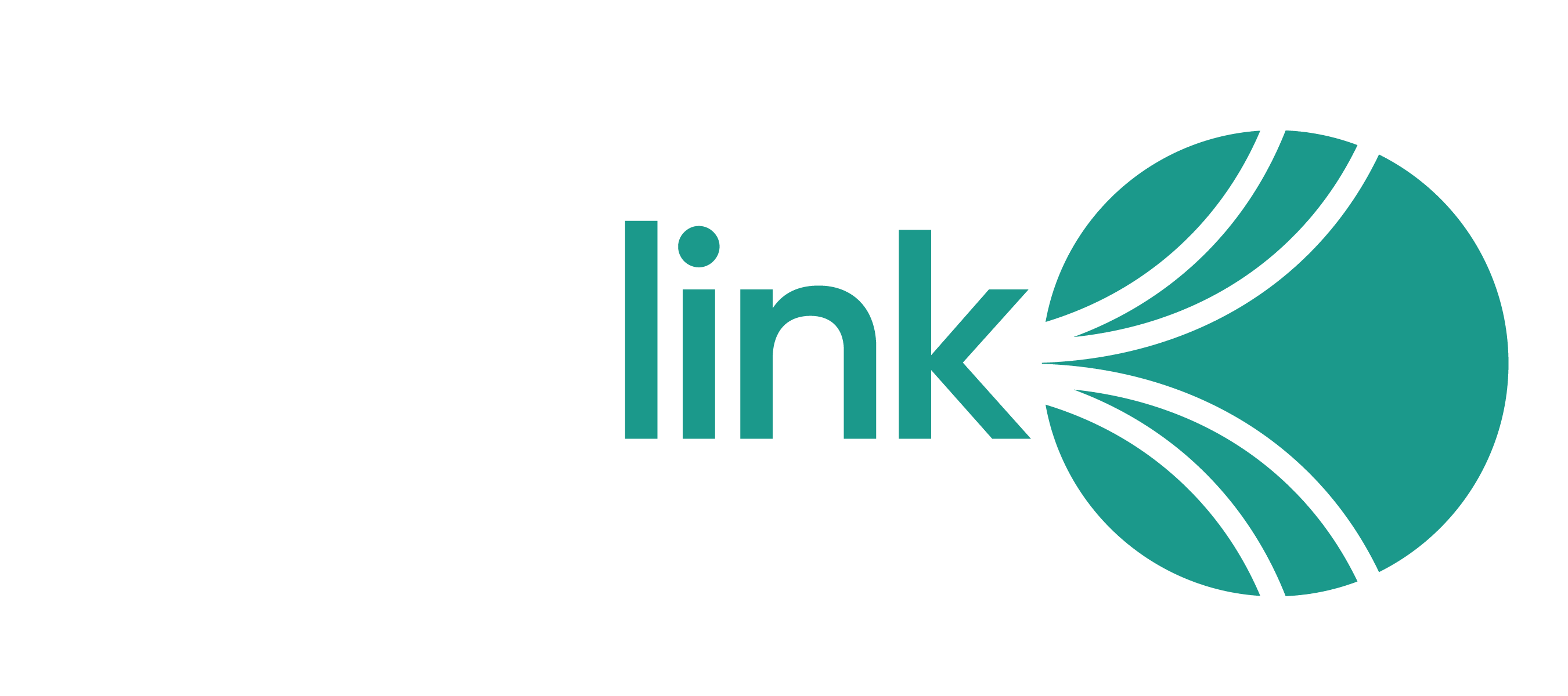 Image for Ridelink: 10 Key Things You Must Know