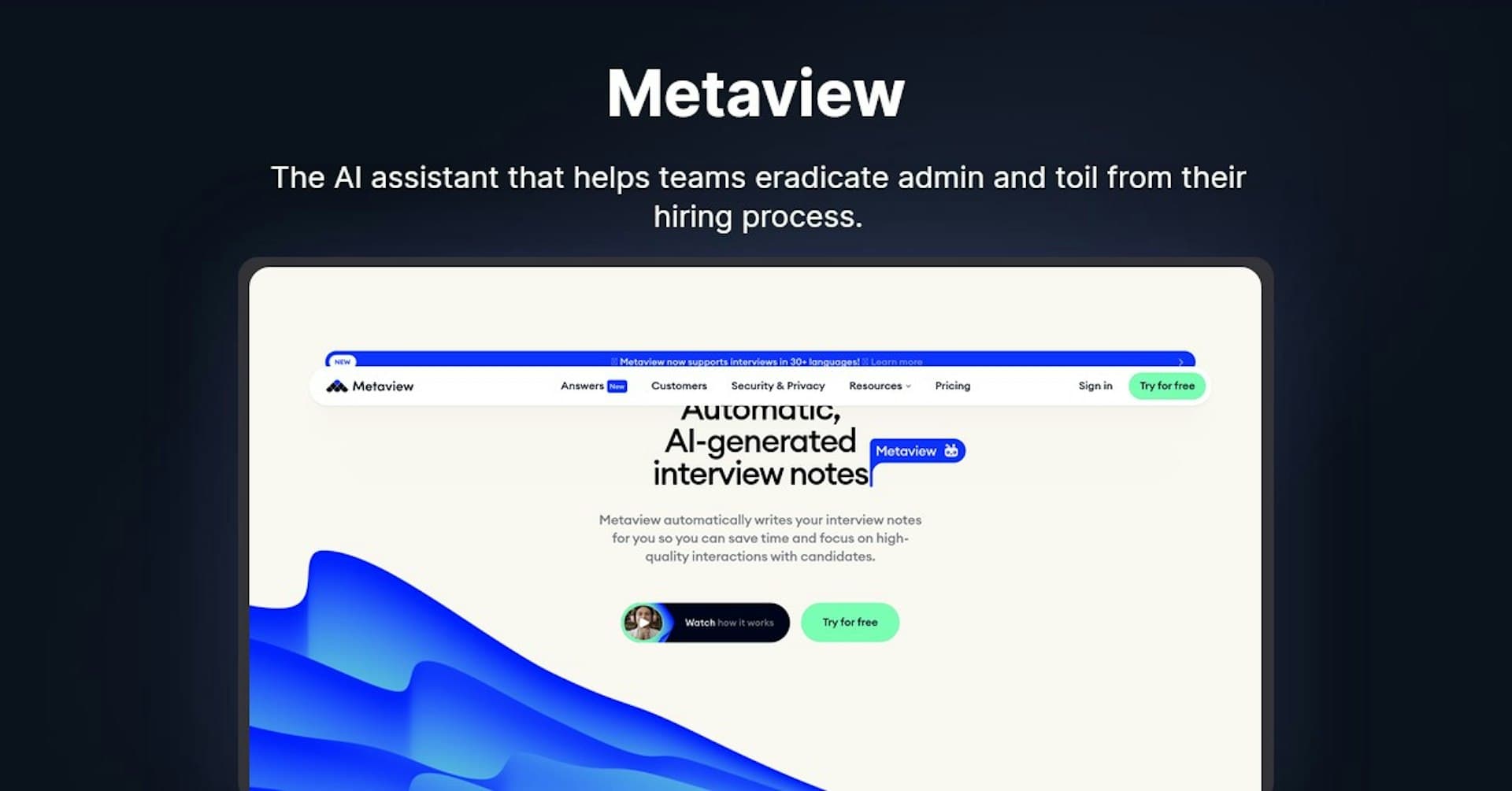 Image for Metaview