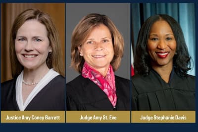 Image for Conservative Commentator Emerald Robinson Announces Extensive Claims of 2024 Election Irregularities