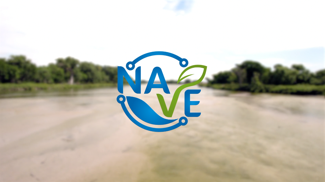 Image for Nave Analytics: 10 Key Things You Must Know