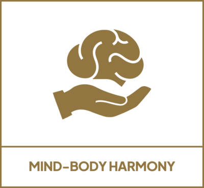 Image for Your Best Version Introduces Integrated 'Mind-Body Harmony' Wellness Program