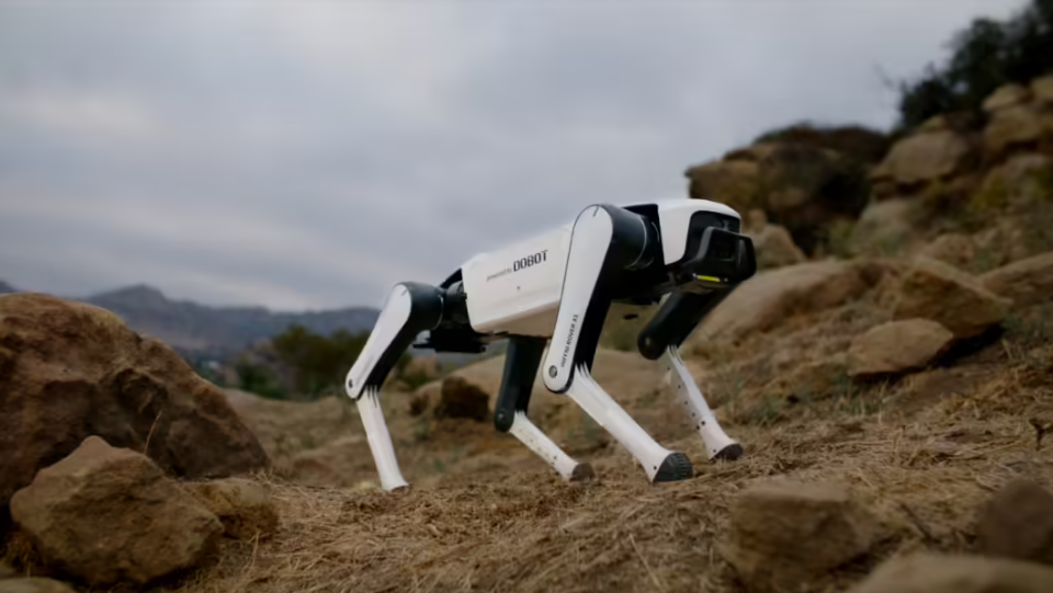 Image for Dobot's Rover X1 Robot Dog Debuts at $1,030, Securing Over 5,000 Reservations