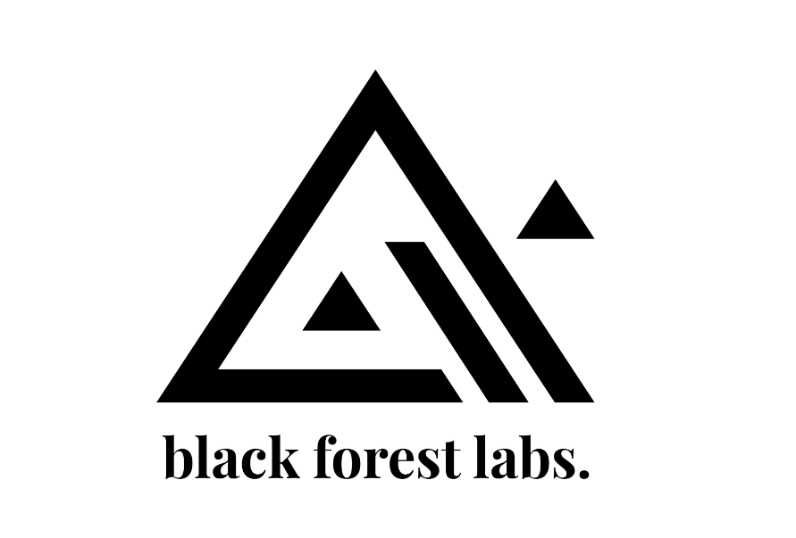 Image for Black Forest Labs Eyes $4 Billion Valuation in New Funding Round