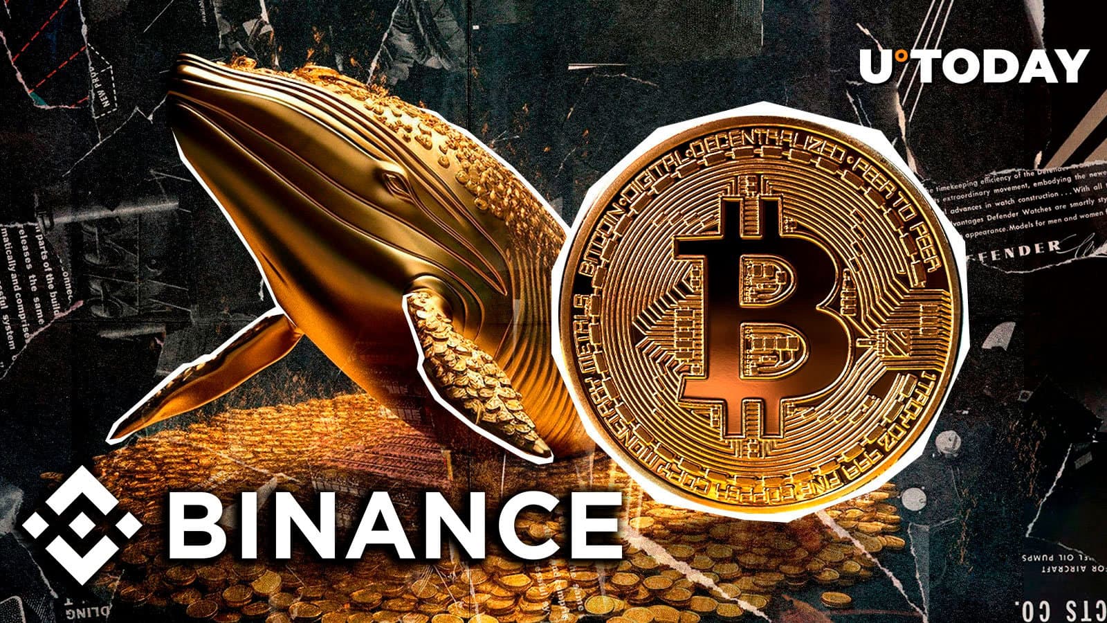 Image for Bitcoin Whale Acquires 600 BTC Valued at $64.15 Million on Binance, Signaling "Smart Money" Confidence