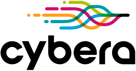 Image for CYBERA: 10 Key Things You Must Know