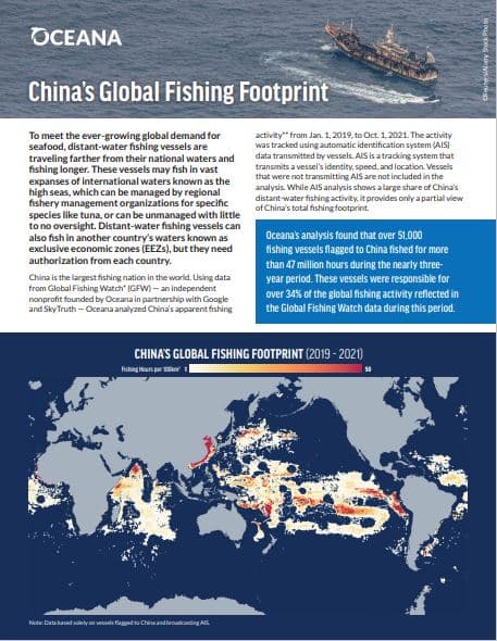 Image for Chinese Distant-Water Fleet Dominates Global Fishing Activity, Raising Sustainability and Human Rights Concerns