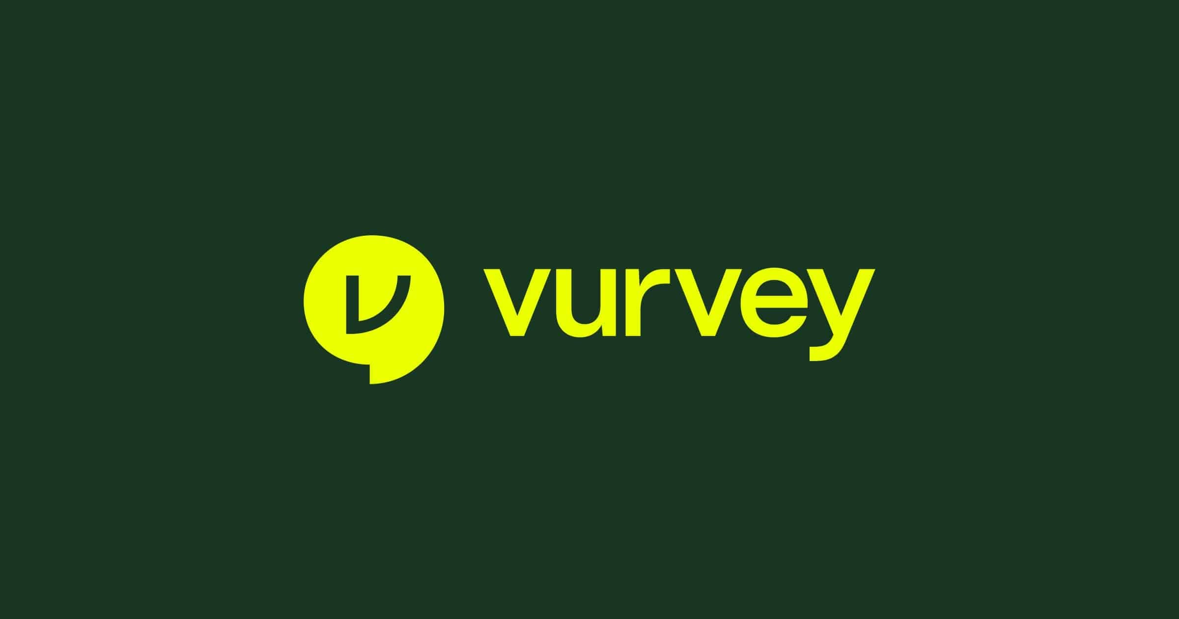 Image for Vurvey: 10 Key Things You Must Know