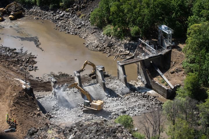 Image for Klamath River Reclaims Over 400 Miles of Habitat Following Historic Dam Removals