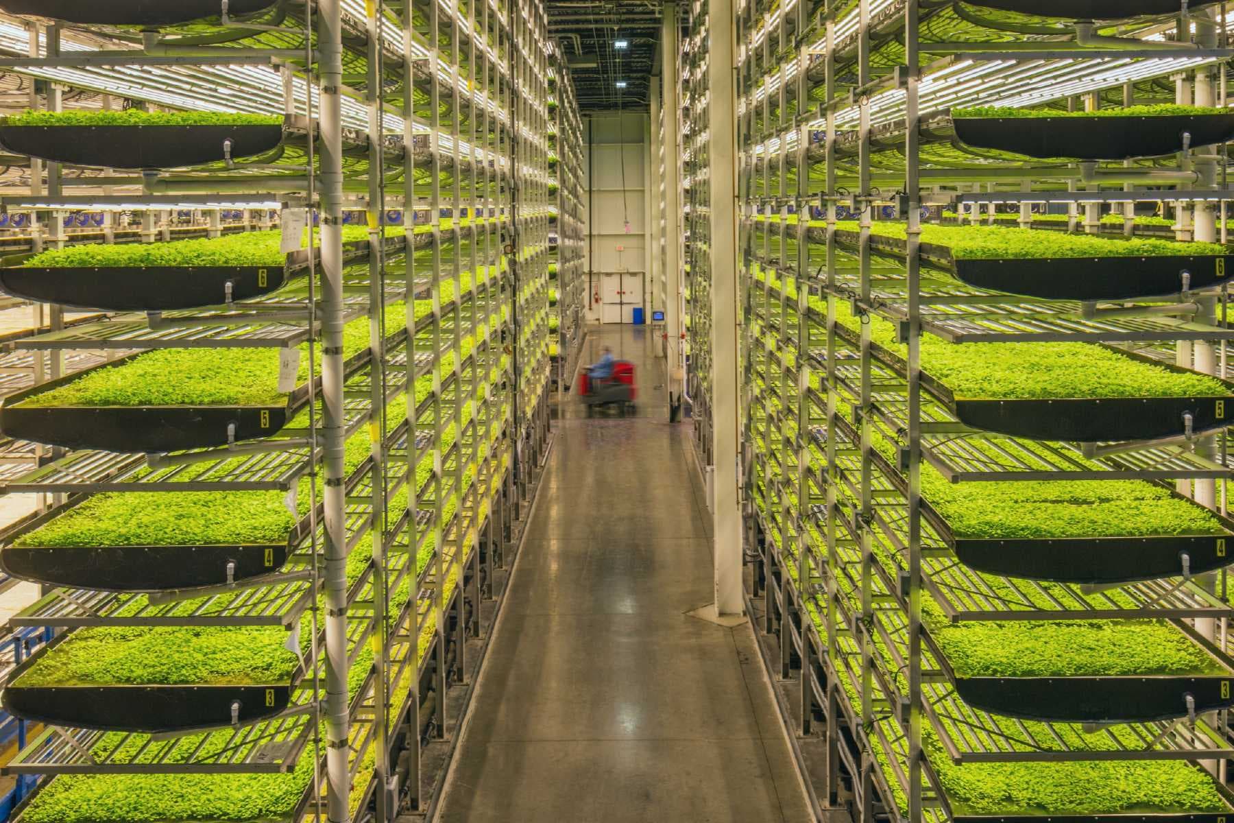 Image for AeroFarms
