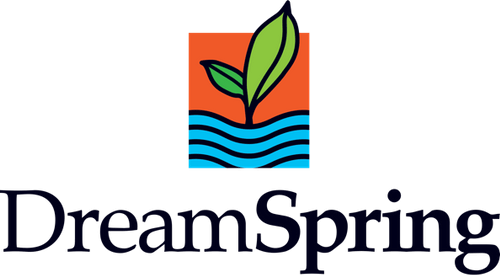 Image for DreamSpring