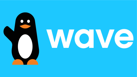 Image for Wave