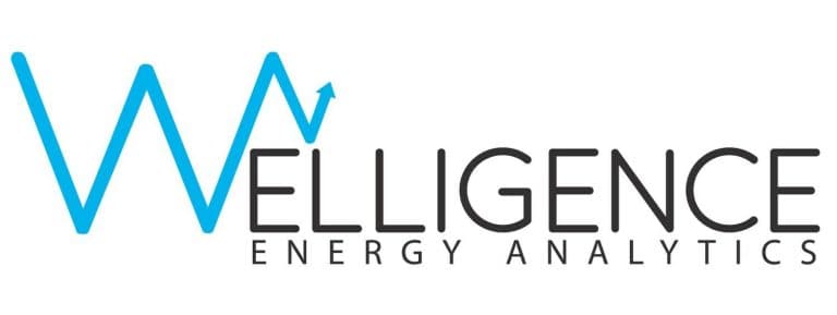 Image for Welligence