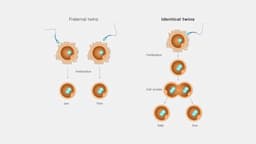 21,792 Identical Twins Study Links Specific Genes to Environmental Sensitivity in Behavioral Traits