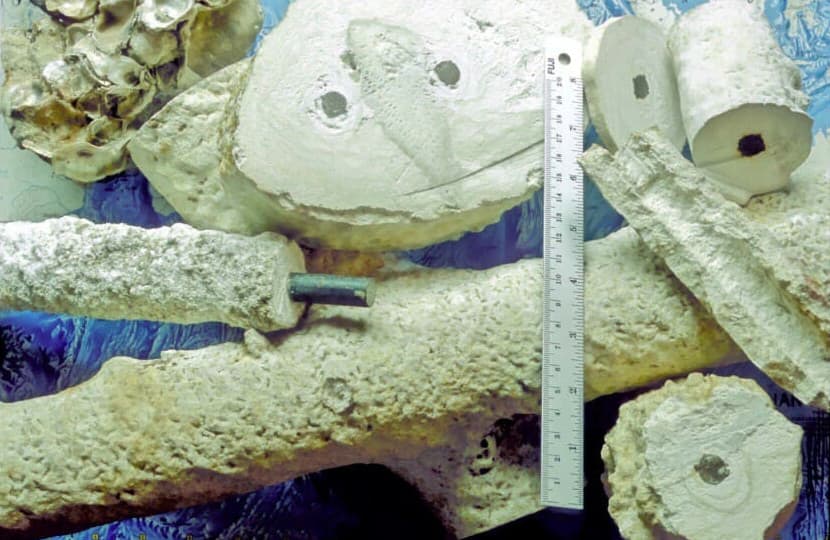 Image for SeaCrete: 10 Key Things You Must Know