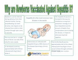 Hepatitis B Birth Dose Implementation Leads to Over 80% Decline in Acute Cases Among Young Children