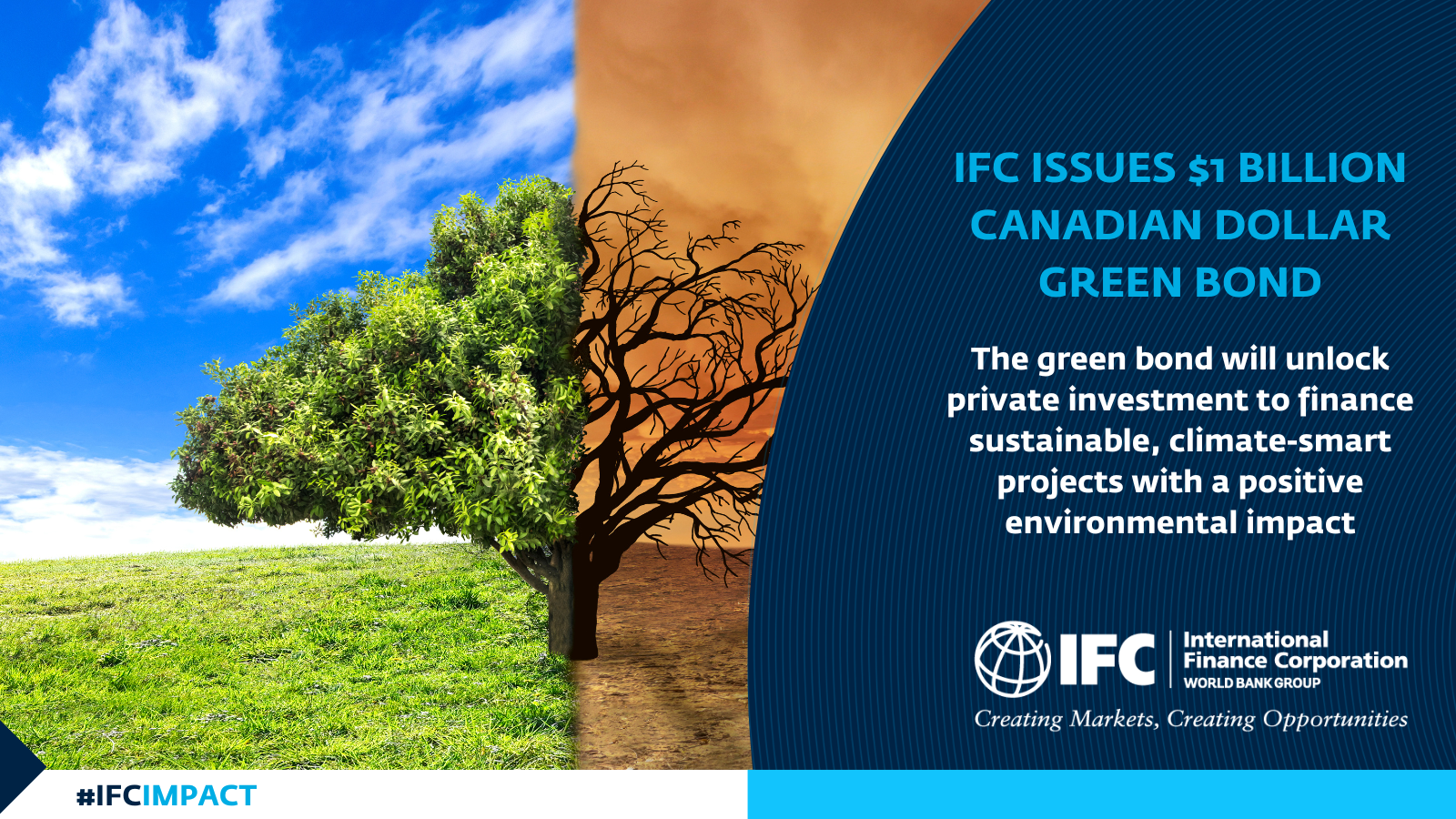 Image for IFC
