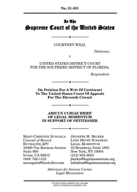Image for New Automated System Aims to Mobilize Over 1,000 Voters Per District for Epstein File Release