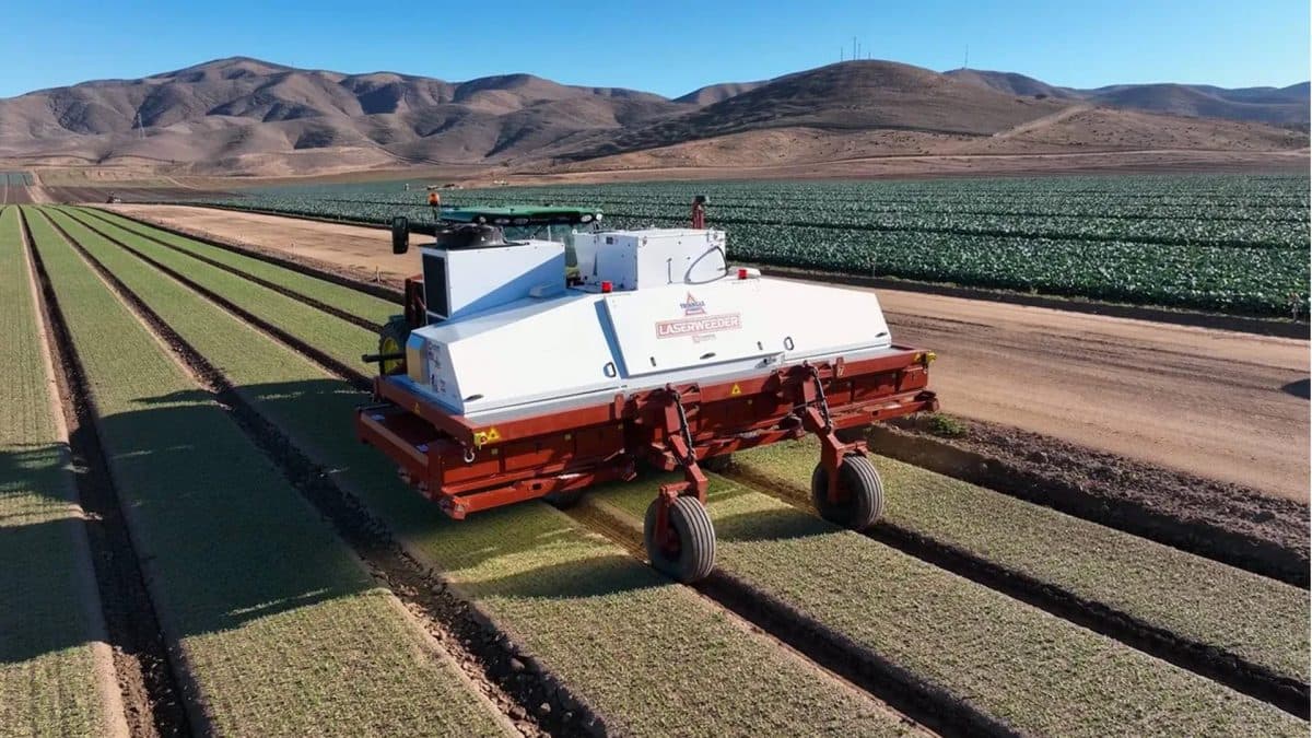 Image for Carbon Robotics