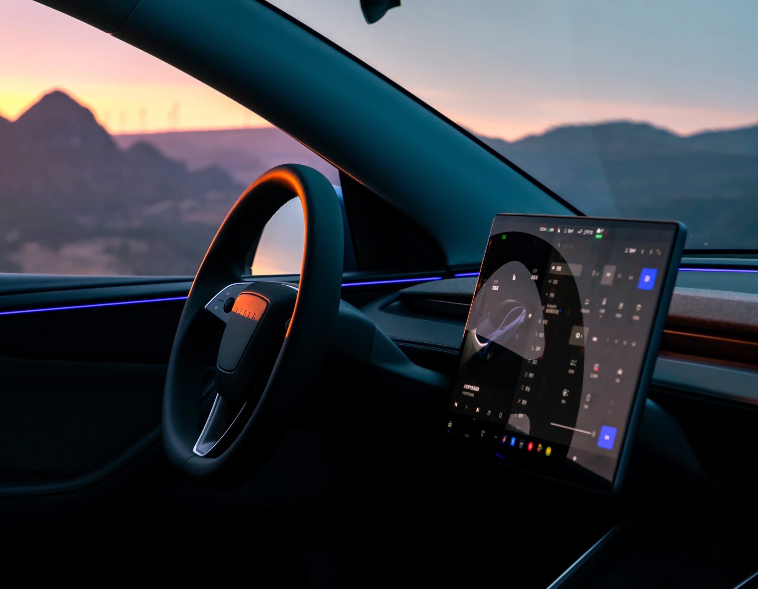 Image for Tesla's Grok AI Integration Receives Enthusiastic '10/10' User Endorsement