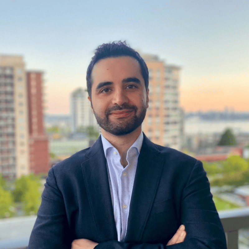 Image for Amin Palizban (Topicflow)