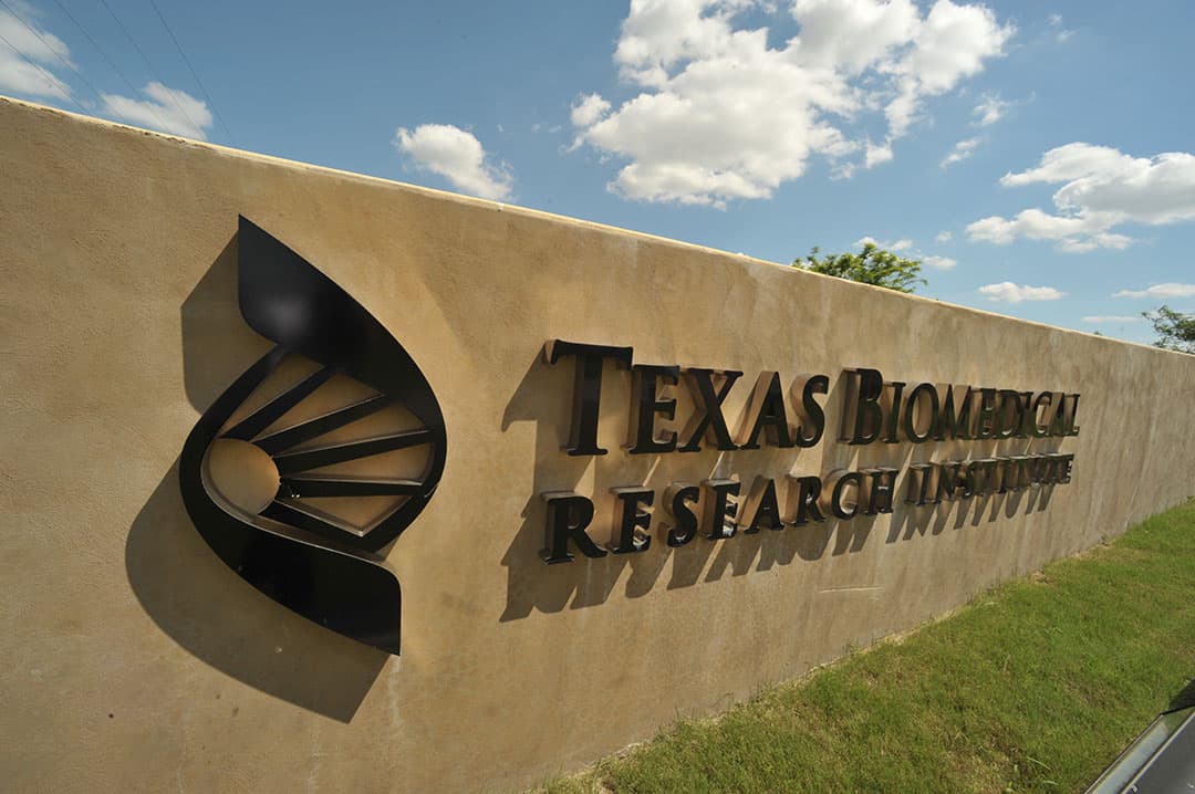 Image for Texas Biomedical Research Institute