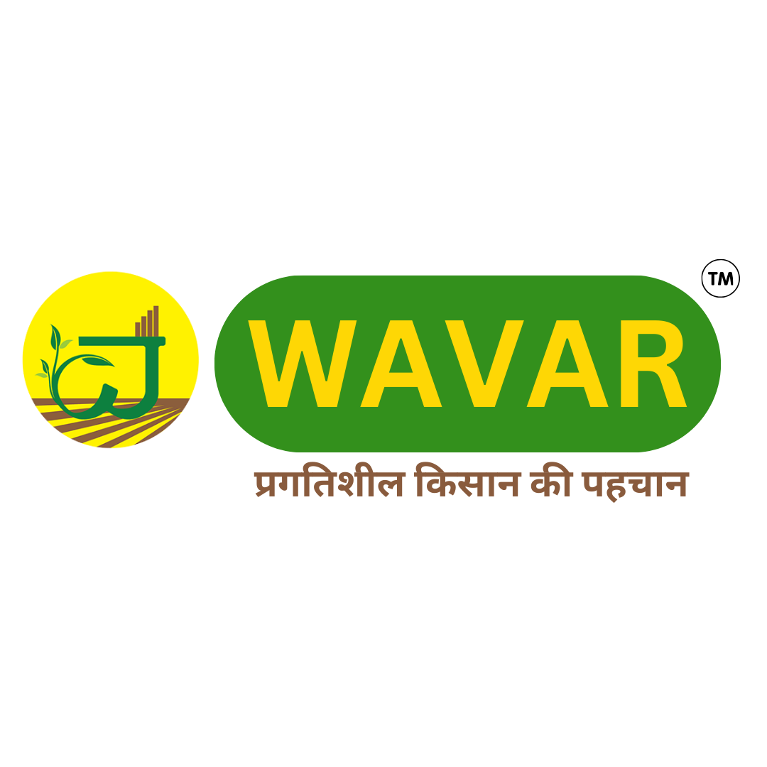 Image for Wavar: 10 Key Things You Must Know