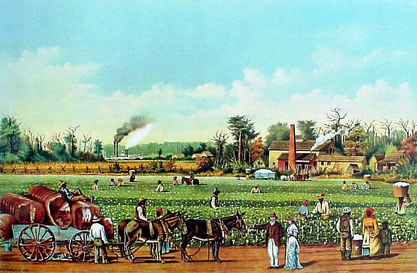 Image for Colonial America's Economic Edge Fueled Population Boom, Historian Notes