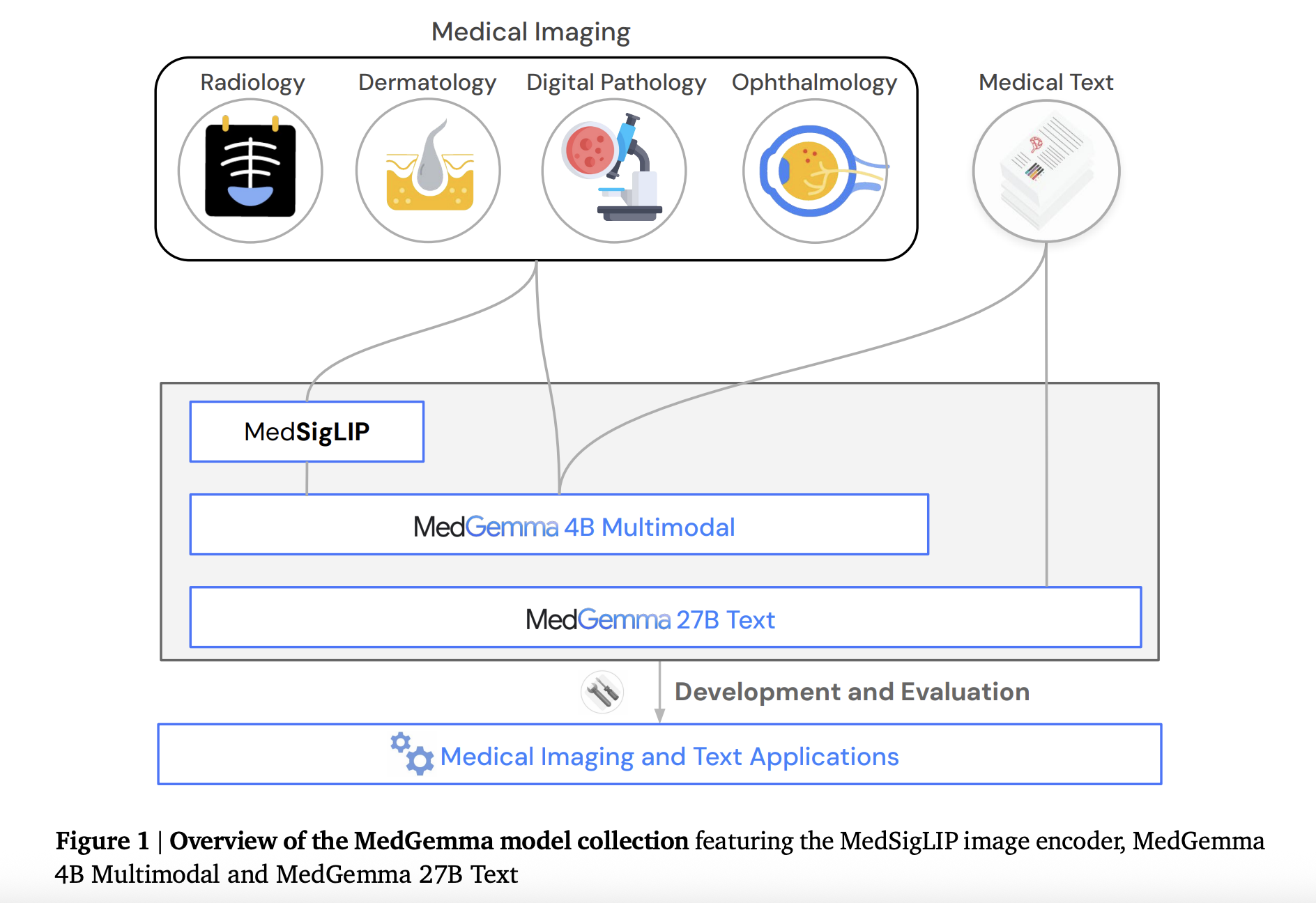 Image for Google Research's MedGemma 27B Multimodal Achieves 90.5% on EHR Reasoning, Enhancing Health AI Accessibility