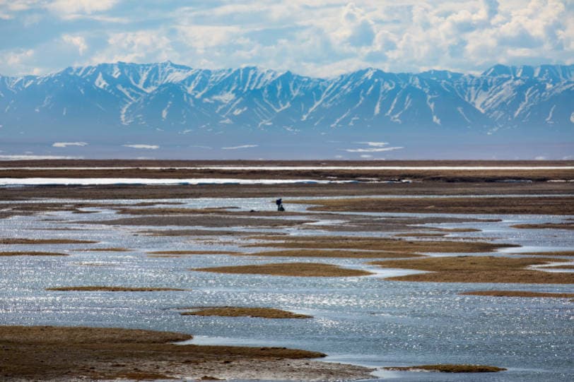 Image for Biden Administration Cancels All Remaining Oil and Gas Leases in Arctic National Wildlife Refuge