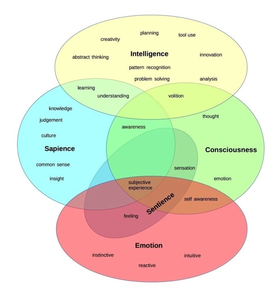 Image for AI Consciousness Debate Intensifies Amidst Calls for "Truthseeking" Over Speculation