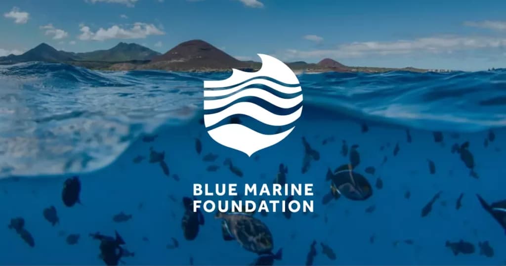 Image for Blue Marine Foundation: 10 Key Things You Must Know
