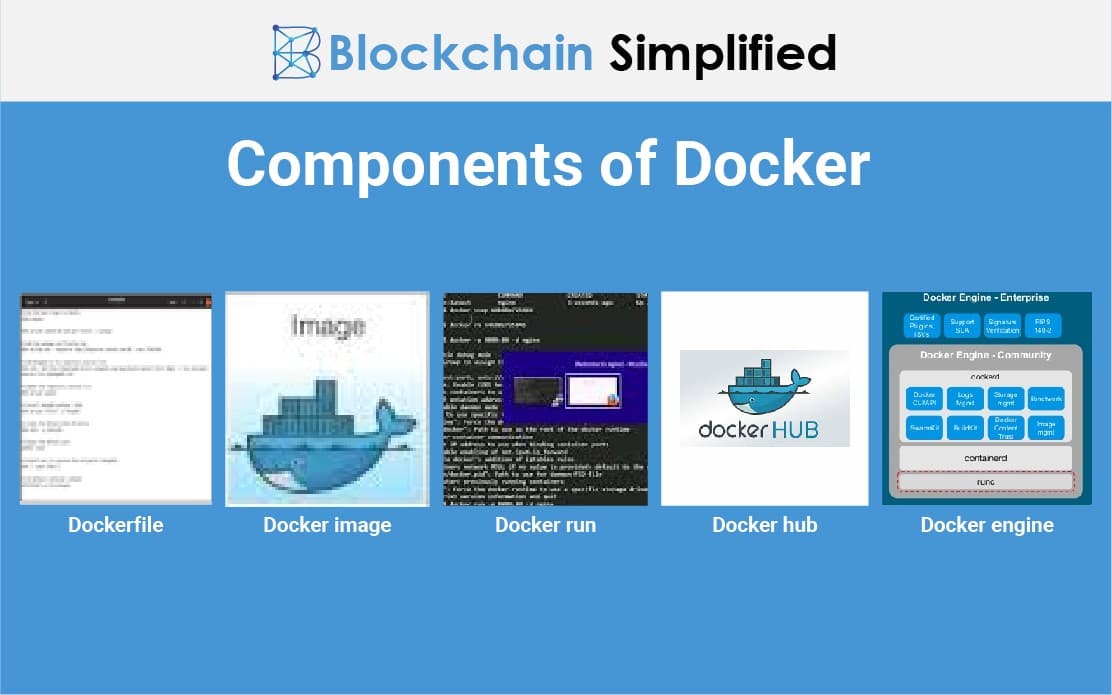Image for Docker Bolsters Portfolio with 2% Allocations in Key Assets Amid Market Downturn