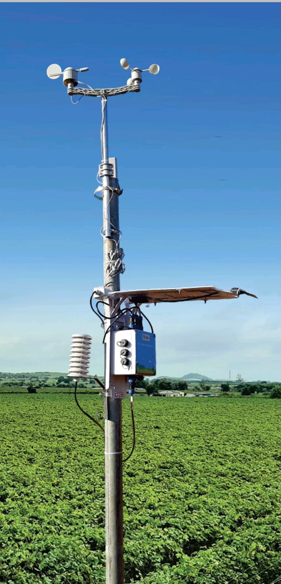 Image for Fyllo: 10 Key Things You Must Know